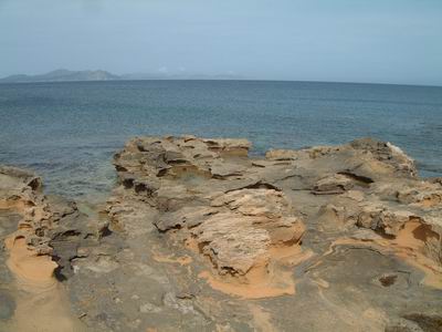 DSCF0115.JPG